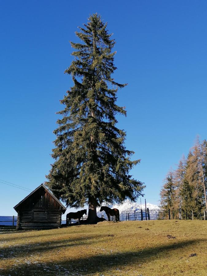 Ferienhaus Bichlhuette Pruggern Exterior photo