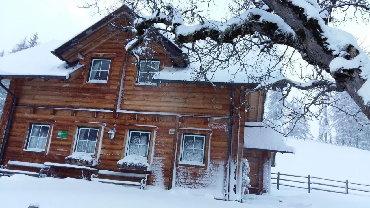 Ferienhaus Bichlhuette Pruggern Exterior photo