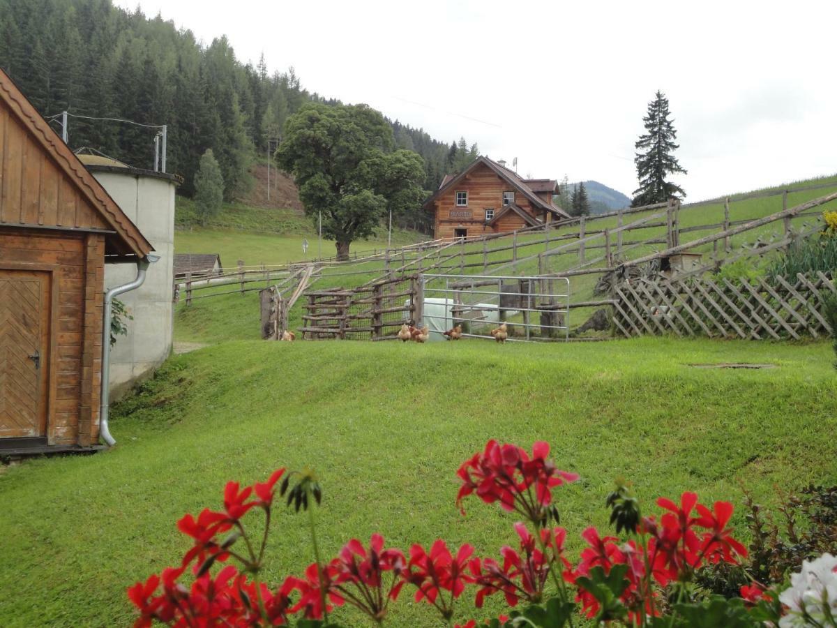 Ferienhaus Bichlhuette Pruggern Exterior photo